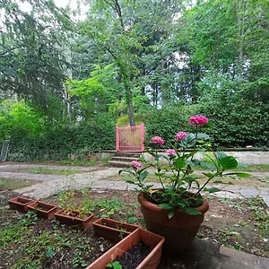 Il Gatto Nero Bed & Breakfast