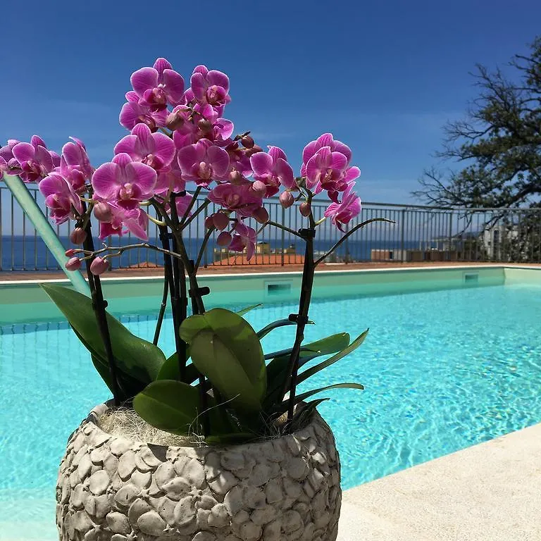 Hotel Mediterraneo Cavi di Lavagna